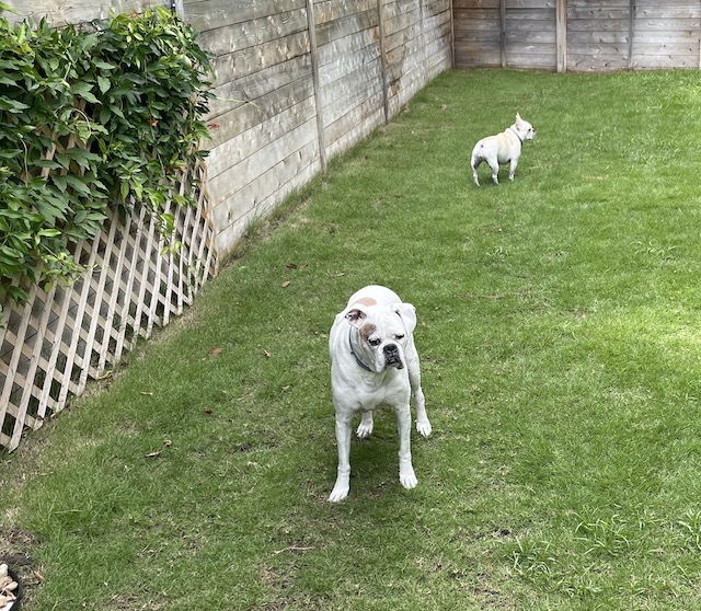 Lucy and Twiggy