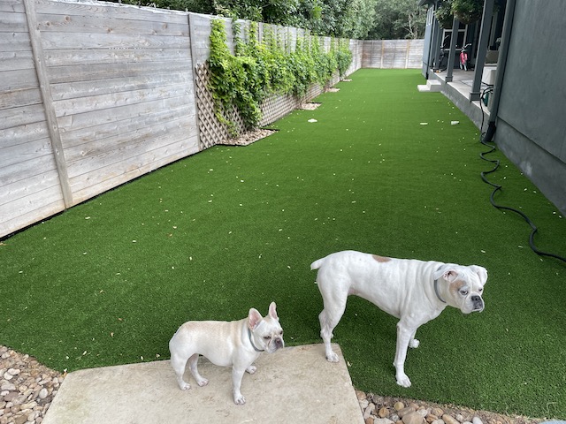 Lucy and Twiggy