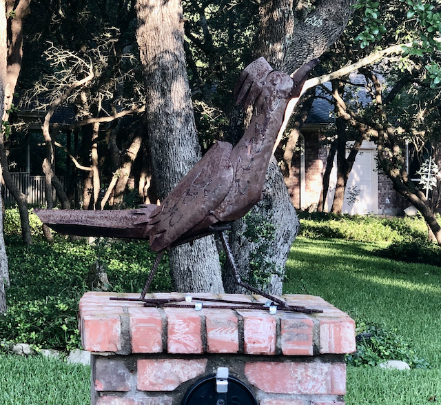 Views of the Neighborhood