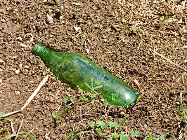 Photo of a bottle